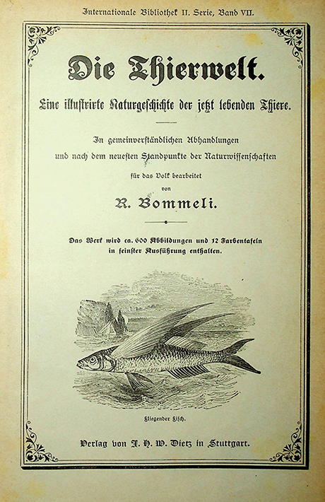 Bommeli R. Die Thierwelt. Eine illustrierte Naturgeschichte der jetzt lebenden Thiere / R. Bommeli. – Stuttgart: 1894.