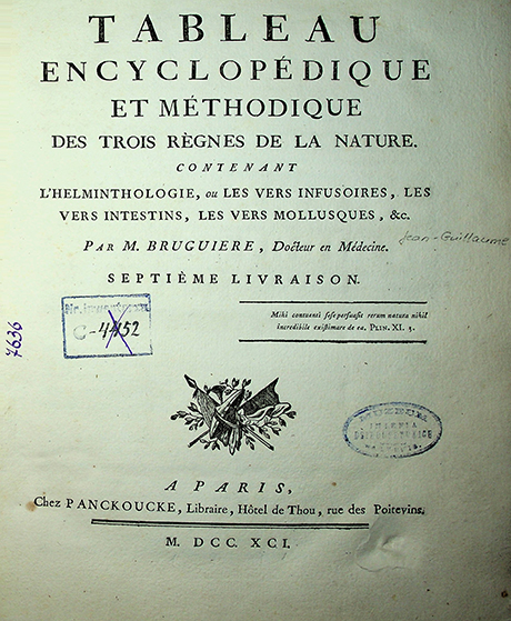 Bruguiere, J. G., Tableau encyclopédique et méthodique des trois règnes de la nature. Contenant l’helminthologie, ou les vers infusoires, les vers intestins, les vers mollusques. Livr. 7 / par M. Bruguiere. – A Paris: Panckoucke, Libraire, Hotel de Thou, rue des Poitevins, 1791. – VIII, 132 p.; 95 pl.