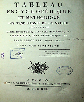 Bruguiere, J. G., Tableau encyclopédique et méthodique des trois règnes de la nature. Contenant l’helminthologie, ou les vers infusoires, les vers intestins, les vers mollusques. Livr. 7 / par M. Bruguiere. – A Paris: Panckoucke, Libraire, Hotel de Thou, rue des Poitevins, 1791. – VIII, 132 p.; 95 pl.