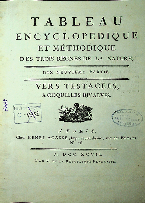 Bruguiere, Jean-Guillaume. Tableau encyclopedique et methodique des trois regnes de la nature / J.-G. Bruguiere. – A Paris: Chez Henri Agasse, 1797. Dix-neuvieme partie: Vers testacees, a coquilles bivalves. – [1], Pl. 190-286.