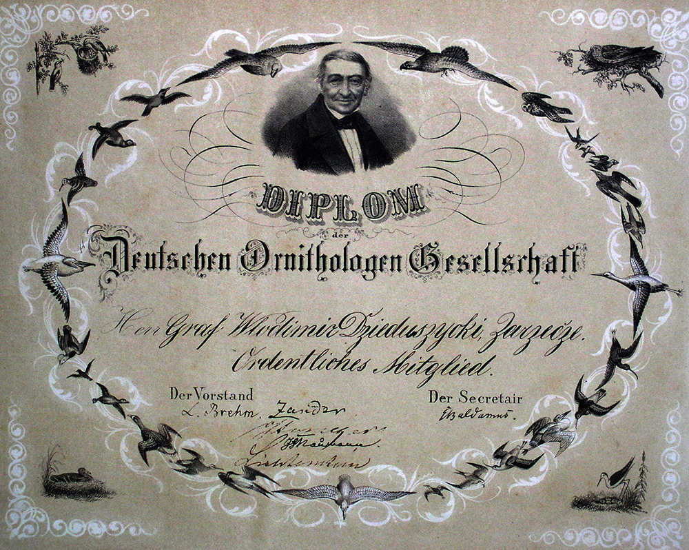 Диплом Diplom der Deutschen Ornithologen Gesellschaft 