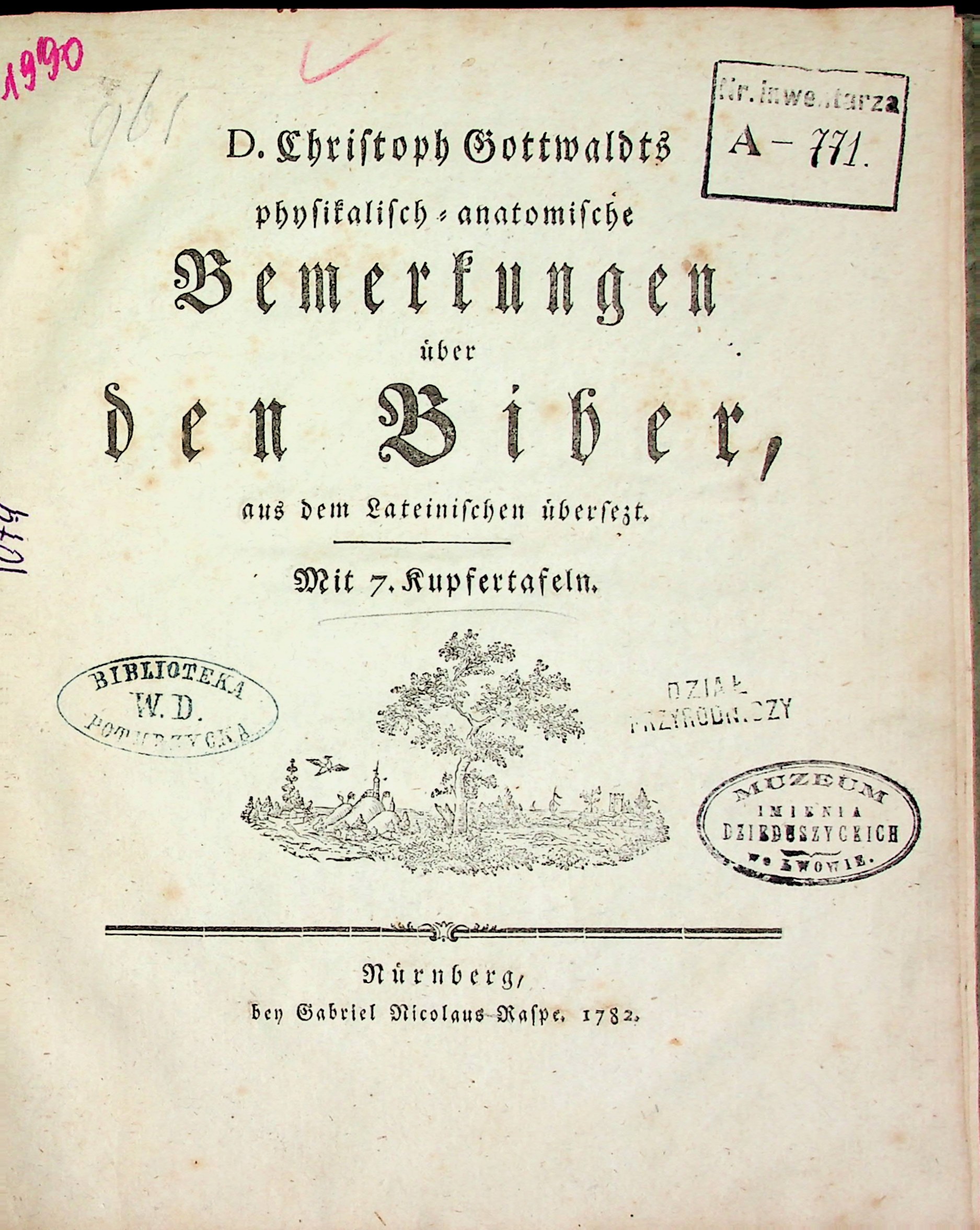 Gottwaldt, Christoph. Physikalisch - anatomische Bemerkungen über den Biber, aus dem lateinischen überzetzt