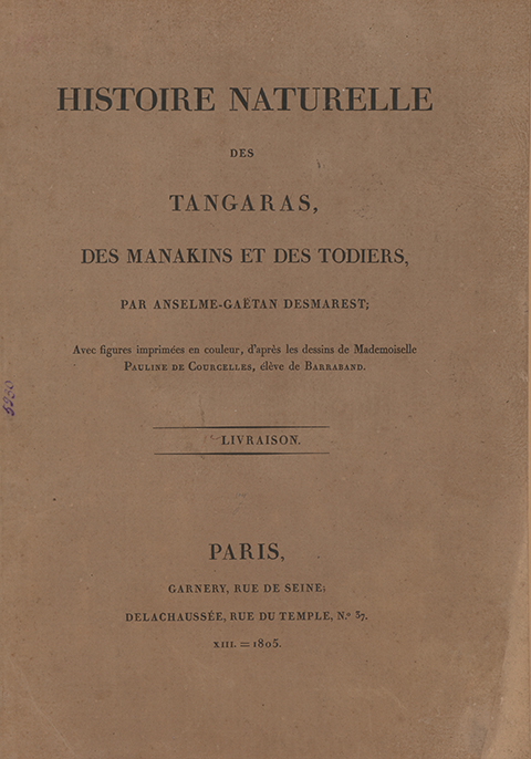 Histoire Naturelle des Tangaras des Manakins et des Todiers par Anselme– Gaëtan desmarest. No 37(2)