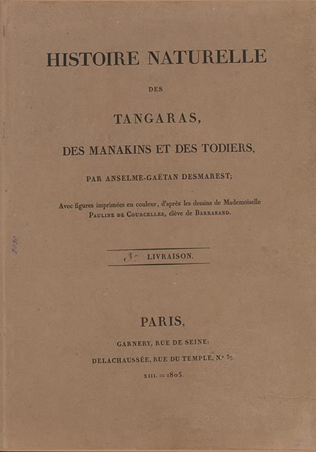 Histoire Naturelle des Tangaras des Manakins et des Todiers par Anselme– Gaëtan desmarest. No 37(3)