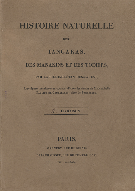 Histoire Naturelle des Tangaras des Manakins et des Todiers par Anselme– Gaëtan desmarest. No 37(4)