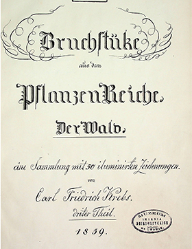Krebs Karl Friedrich. Brứchstüke aus dem Pflanzen Reiche der Wald. - 3-te Theil. - [o. s.], 1859. - 125 S. mit 50 iluminirten Zeichnungen