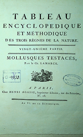 Lamarck, Jean-Baptiste, Bruguiere J. G. Tableau encyclopedie et methodique des trois regne de la nature / J.B. Lamarck, M. Bruguire. – A Paris: Chez Henri Agasse Imprimeur-Libraire, An VI de la République [1798]. 21 partie: Mollusques testaces. – Pl. 287-390.