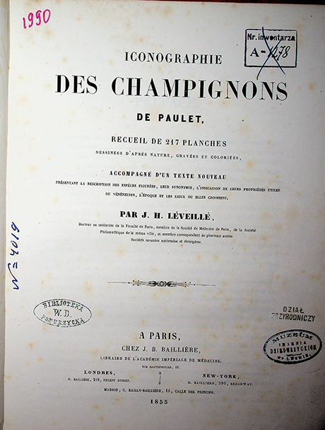 Léveillé J.H. Iconographie des champignons de Paulet, recueil de 217 planches dessinées d'après nature, gravées et coloriées, accompagné d'un texte nouveau présentant la description des espèces figurées, leurs synonymie, l'indication de leurs propriétés utiles ou vénéneuses, l'époque et les lieux où elles croissent / J.H. Leveille. – A Paris, J.B. Baillière, 1855. – 135 p.; 204pl.