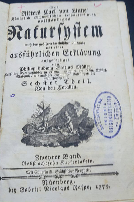 Linnaei, Carol. Des Ritters Carl von Linné, Königlich Schwedischen Leibarztes vollständiges Natursystem nach der zwölften lateinischen Ausgabe mit einer ausführlichen Erklärung ausgefertiget von Philipp Ludwig Statius Müller. Th. 6: Von den Corallen. 8 Bl. (1775)