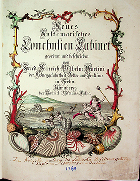 Martini, Friedrich Heinrich Wilhelm (1729-1778). Neues Systematisches Conchylien Cabinet / geordnet und beschreiben von F. H. W. Martini. - Nürnberg : bey Gabriel Nicolaus Raspe, 1769. - 1-te Bd. - 28, 408 S., 31 Taf.