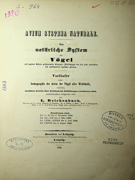 Reichenbach H.G.L Avium Systema Naturale. Das natürliche System der Vögel mit hundert Tafeln größtenteils Original. – Dresden und Leipzig: 1850.